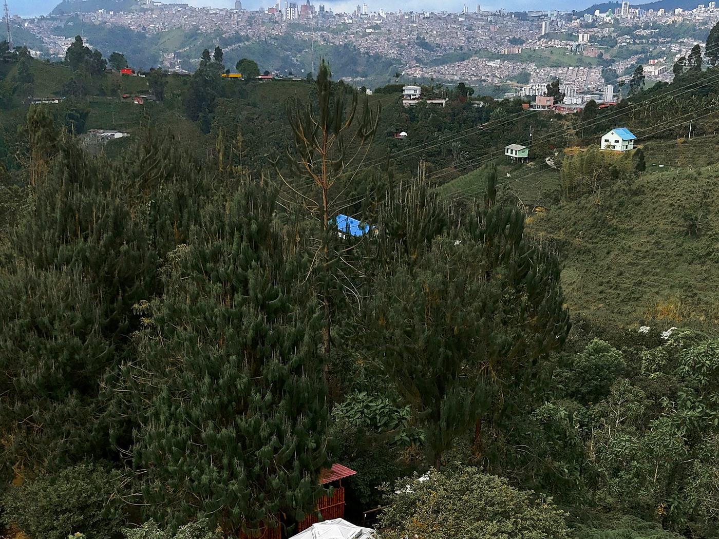 Vista aérea del bosque de Ikigai con Manizales al fondo